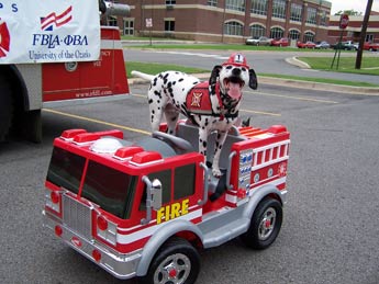 why is a dalmatian a fire dog