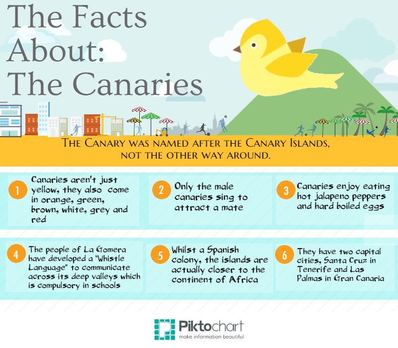 Canaries (1)